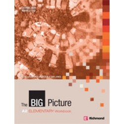 The Big Picture Elementary Workbook Pack
