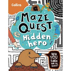 Maze quest Hidden Hero